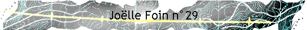 Jo�lle Foin n�29